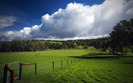 1933_thegreenhillsofhome_2560x1600
