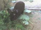 DSC00049
