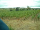 DSCN1599
