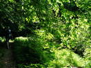 DSCF1046