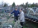 DSC00781