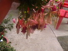 Picture 005