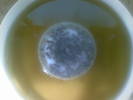 20042009(001)