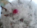 DSC01897