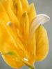 DSCF1684