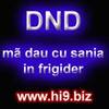 dnd ma dau cu sania in frigider