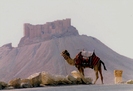 Citadel in Palmyra - Syria