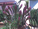 Imag030