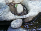 DSCF5278