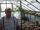 Korda Arpad