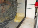 Picture 122
