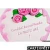 TORT  and  ROSES-PINK Cariba_Claire_Phoebe  6
