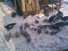 Image000