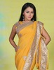 Designer_Saree_22_3_img=5606=cl=con1_copy