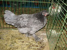 P8161740