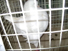 Picture 134
