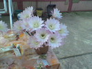 Imag049