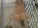 DSC00888