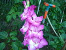 P1000921
