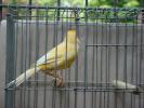 DSC00647