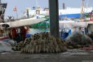 Tunisia_529