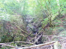 DSCF5201