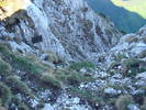DSC03199