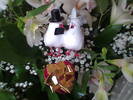 Imag010