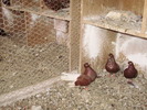 P9061370