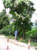 ormal_Sorana_086