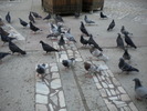 DSCN0159