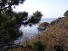 DSCF1097