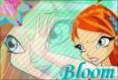 Copie (2) a Copie a 11449945