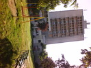 DSC05419