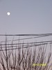 100_8188