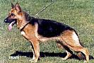 Nanni