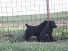 poze 04.05.2009 148