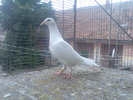 Imag070