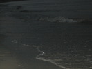 Picture 2 067