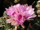 DSC09846