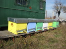 IMG_0004 (4)