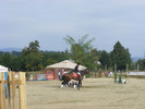 Picture 124