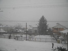 DSCN4011