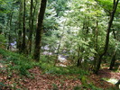 DSCF5370