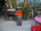 Picture 072
