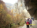 Cheile Oltetului