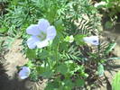 PICT0070