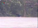 Image1117-0904(nationaltv)[1]