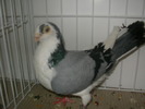 SANY0119