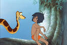 Jungle_Book_Mowgli_Kaa_657[1]